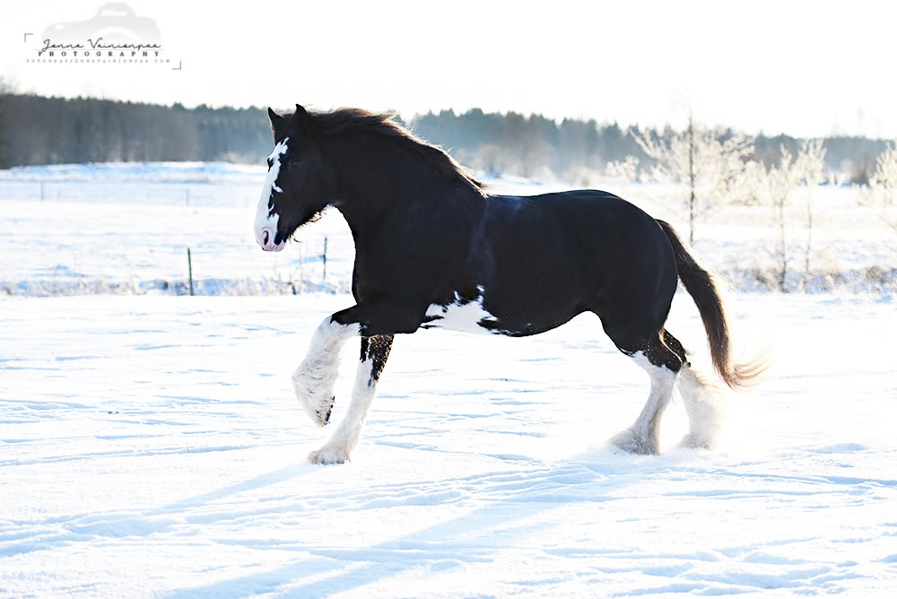© Jenna Vainionpää