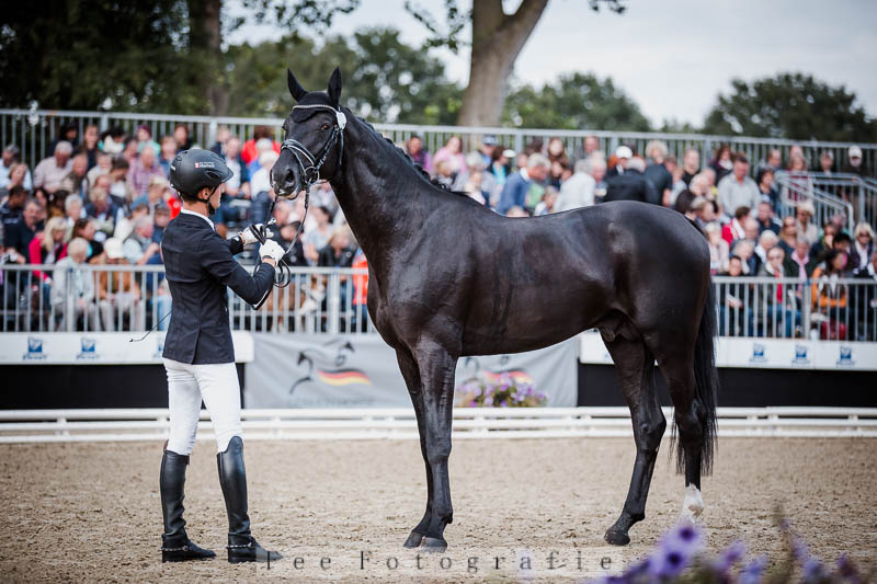 © Fee Fotografie