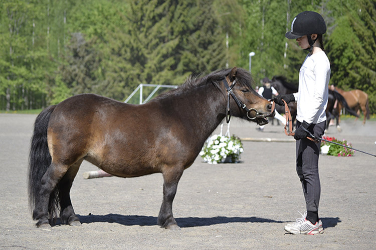 © postmaster@62752.net