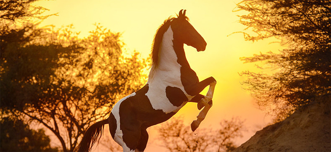 kuvan © Ekaterina Druz