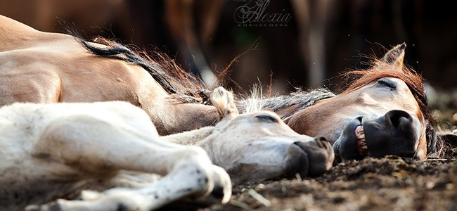 kuvan © Alexia Khruscheva