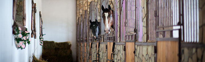 © Alexia Khruscheva