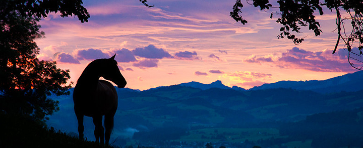 © Alexia Khruscheva