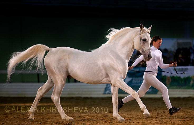 © Alexia Khruscheva